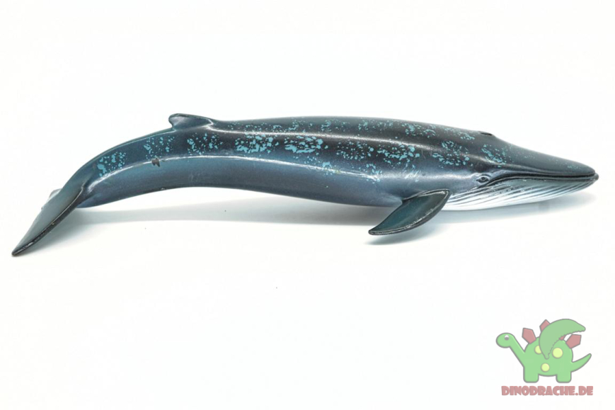Schleich Blauwal 14552